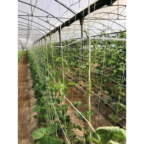 2022738 TRELLINET COMPOST lebomló növénytartó háló fehér 2 x 5 m