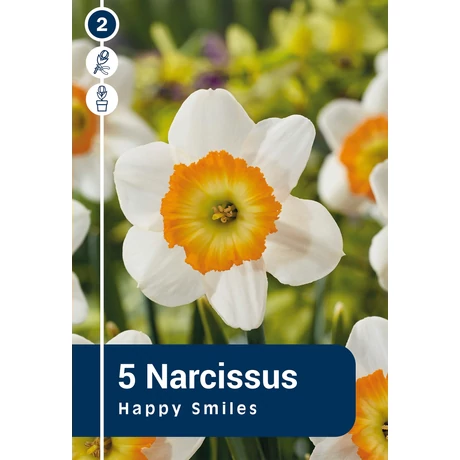 Vh 16384 Narcissus Large cupped Happy Smiles 5db/cs 12/14