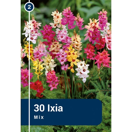 Vh 16423  Ixia Mix 30db/cs 5/+