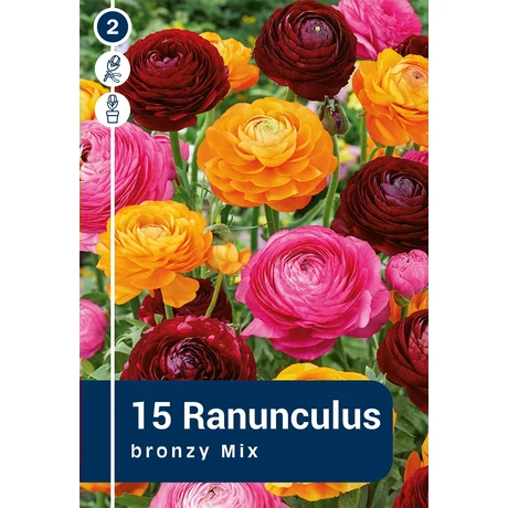 Vh 16280  Ranunculus Bronzy Mix 15db/cs 6/7