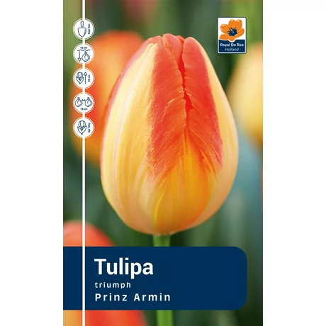 Vh Rackbox Tulipa Triumph Prinz Armin 80db/cs 12/+
