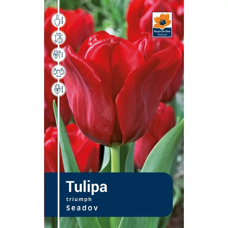 Vh Rackbox Tulipa Triumph Seadov 80db/cs 12/+