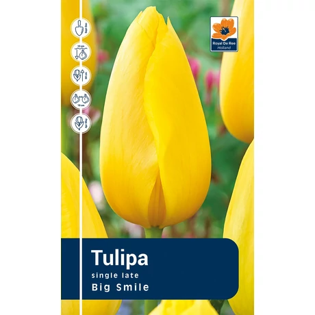 Vh Rackbox Tulipa Late Big Smile 80db/cs 12/+