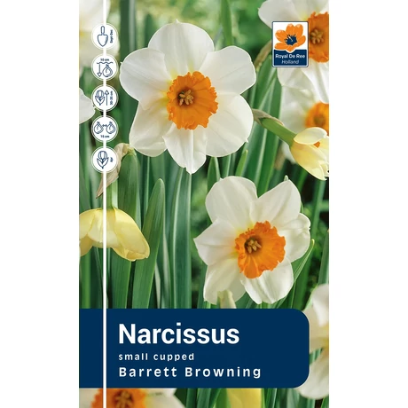 Vh Rackbox Narcissus Small cupped Barrett Browning 25db/cs 14/16