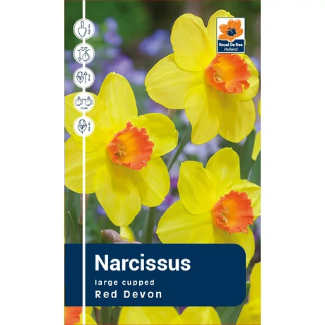 Vh Rackbox Narcissus Large cupped Red Devon 40db/cs 12/14
