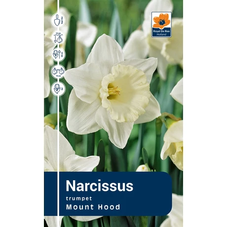 Vh Rackbox Narcissus Trumpet Mount Hood 40db/cs 12/14