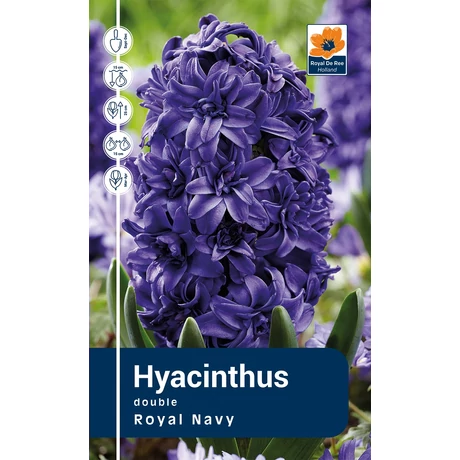 Vh Rackbox Hyacinthus Royal Navy (double) 40db/cs 15/16