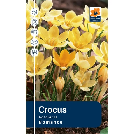 Vh Rackbox Crocus Botanical Romance 250db/cs 5/+