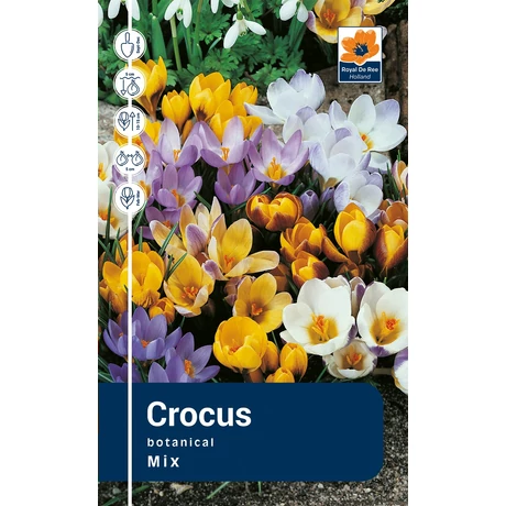 Vh Rackbox Crocus Botanical Mix 250db/cs 5/+