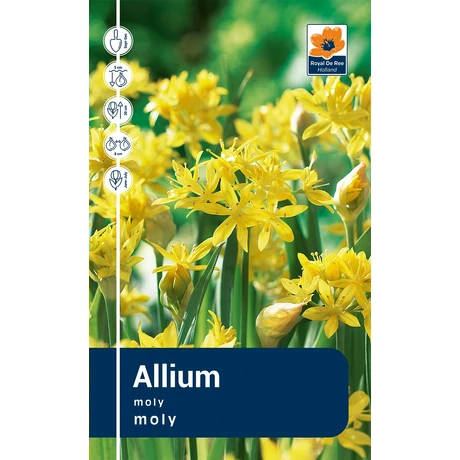 Vh Rackbox Allium Moly 250db/cs 4/+