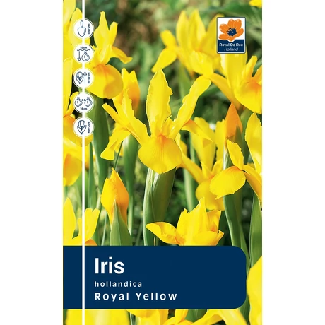 Vh Rackbox Iris Royal Yellow 250db/cs 8/9