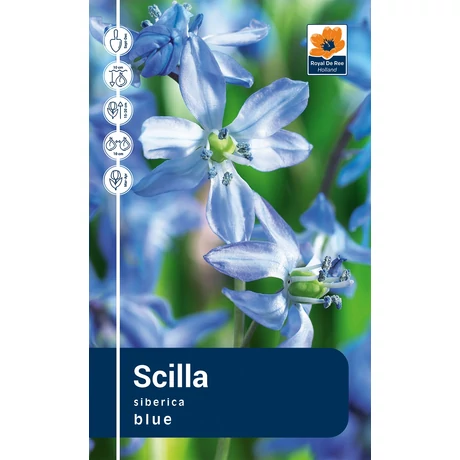 Vh Rackbox Scilla Siberica 250db/cs 7/8