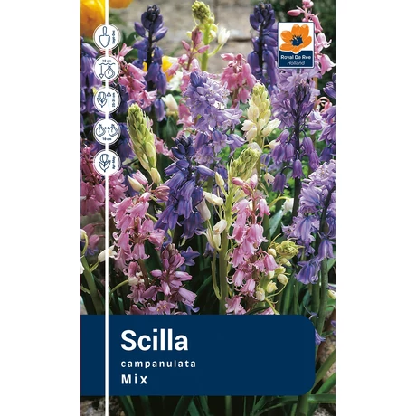 Vh Rackbox Scilla Campanulata 250db/cs 7/8