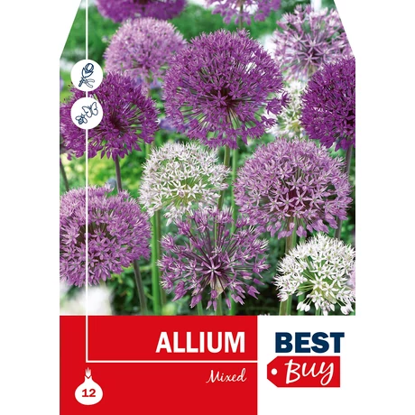 Vh 8700  Allium  Mixed 12db/cs 10/12