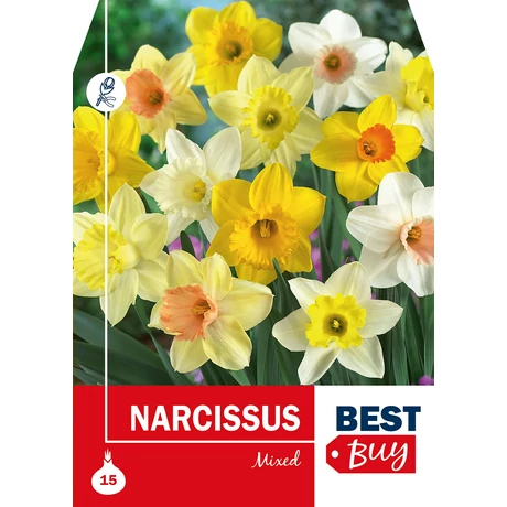 Vh 8704  Narcissus Mixed 15db/cs 10/12