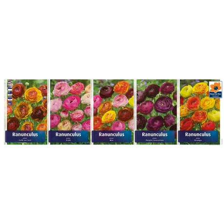 Vh Ranunculus gyűjtő 02 5x100db 8+