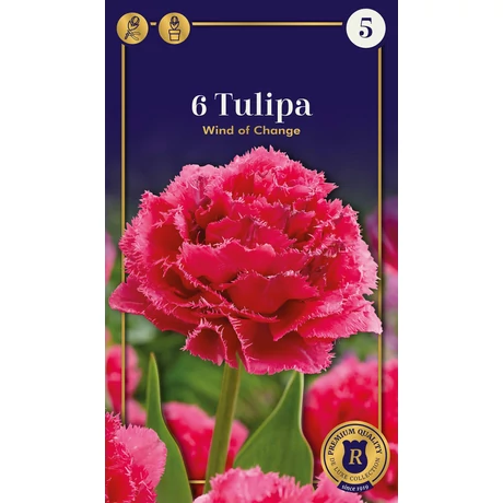 Vh 16562 Tulipa Supreme Double Fringed (Crispa) Wind of Change 6db/cs 12/+