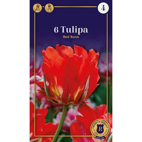 Vh 16565 Tulipa Supreme Double Late Red Bono 6db/cs 12/+