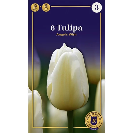 Vh 16531 Tulipa Supreme Single Late Angel's Wish 6db/cs 12/+