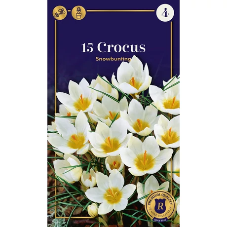 Vh 16572 Crocus Supreme Snowbunting 15db/cs 5/+