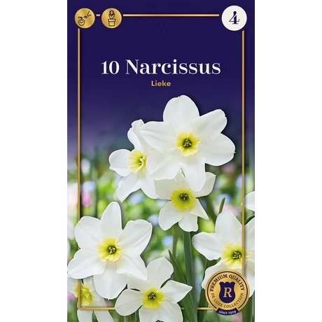 Vh 16538 Narcis Supreme Botanocal Lieke 10db/cs 12/14