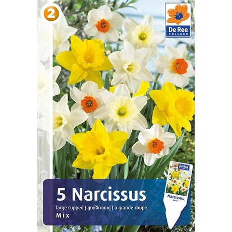 Vh 16442 Narcissus Large cupped Large Cupped Mix 5db/cs 12/14