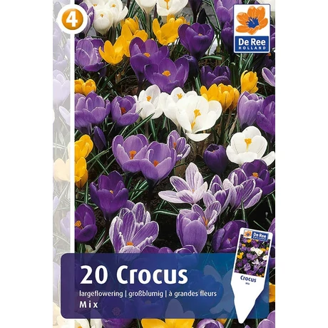 Vh 16347 Crocus Largeflowering Mix 20db/cs 8/9
