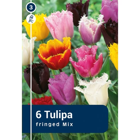 Vh 16274 Tulipa Crispa Fringed Mix 6db/cs 11/12