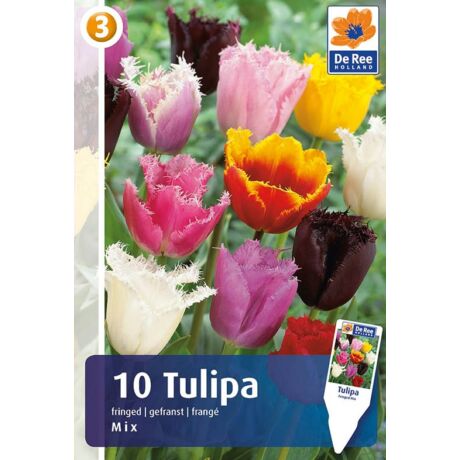 Vh16274 Tulipán Fringed  Mix 10db/cs