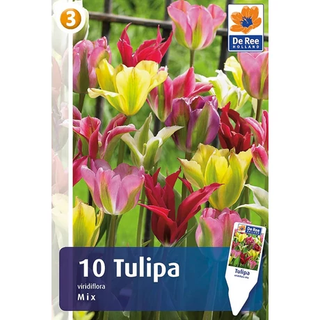 Vh16286 Tulipán Viridiflora Mix 10db/csom