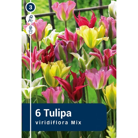 Vh 16286 Tulipa Viridiflora Viridiflora Mix 6db/cs 11/12