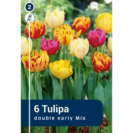 Vh 16234 Tulipa double early Double Early Mix 6db/cs 11/12