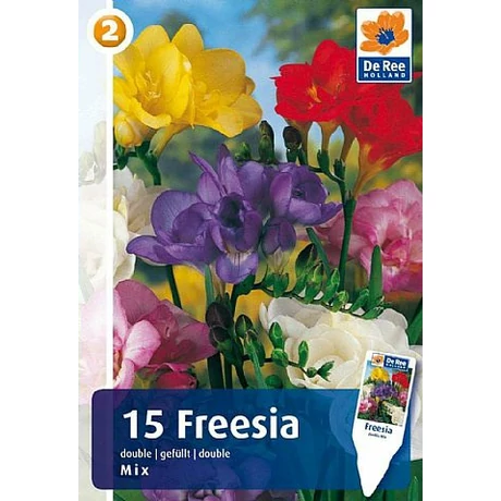 Vh08403 Freesia Double Mix